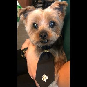 Meet your Posher, Joseph